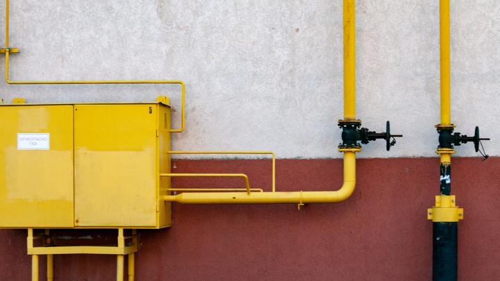 В Союзе садоводов России рассказали, сколько будет стоить подвести газ к даче