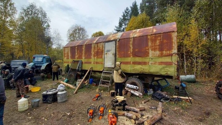 В Челябинской области полиция закончила следствие по делу черного лесоруба