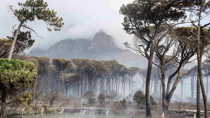 Европейские журналисты попали в засаду в Африке. Тела нашли лишь через сутки