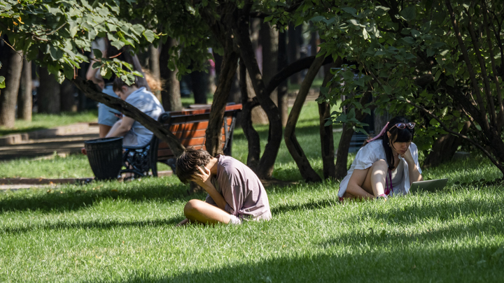 30 аварийных деревьев уберут на Вокзальной магистрали в Новосибирске: что посадят взамен 30 аварийных деревьев уберут на Вокзальной магистрали в Новосибирске: что посадят взамен