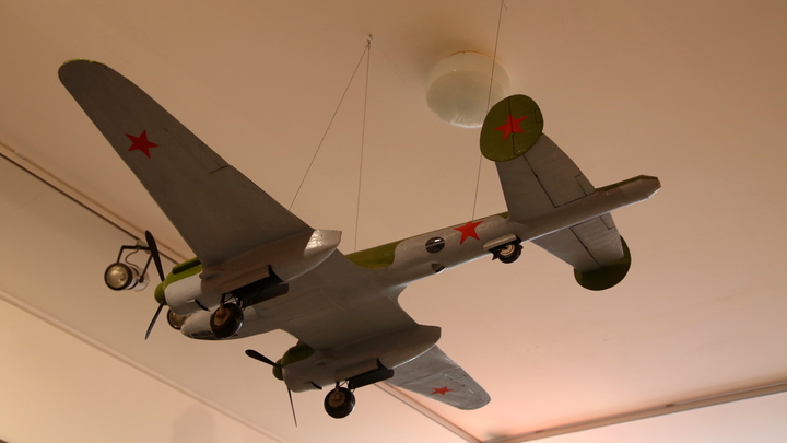 Бесстрашная валькирия. В Петербурге откроют выставку в честь первой русской лётчицы