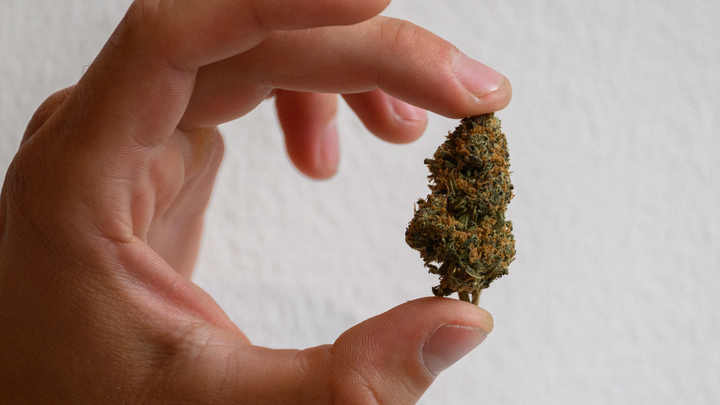 Запорожские полицейские нашли в доме распространителя наркотиков автоматные патроны