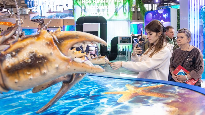 Клешню краба возрастом 8 млн лет назад нашли в Новой Зеландии Клешню краба возрастом 8 млн лет назад нашли в Новой Зеландии