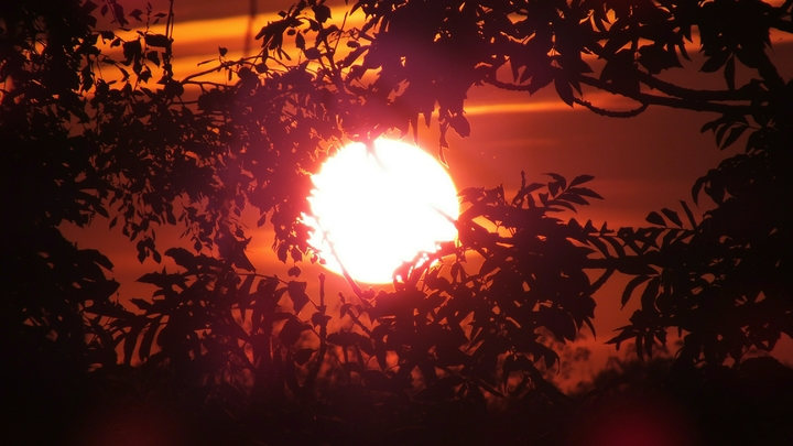 Ученые выяснили, что Земля будет «жить» еще 1 млрд лет