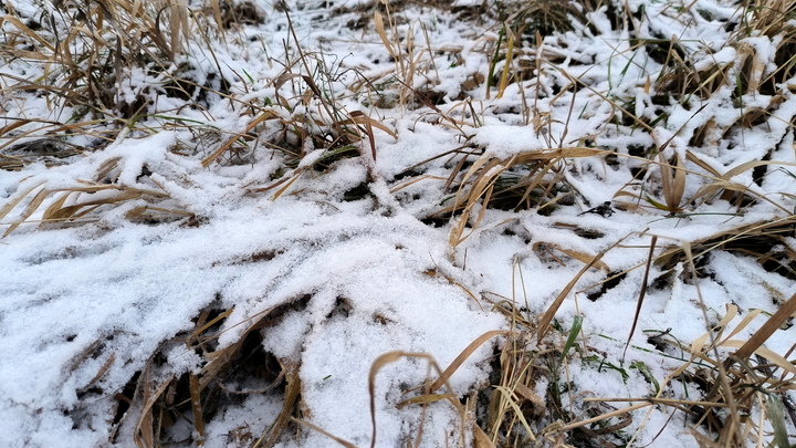 В Нижнем Новгороде ожидаются 12-градусные морозы в середине декабря