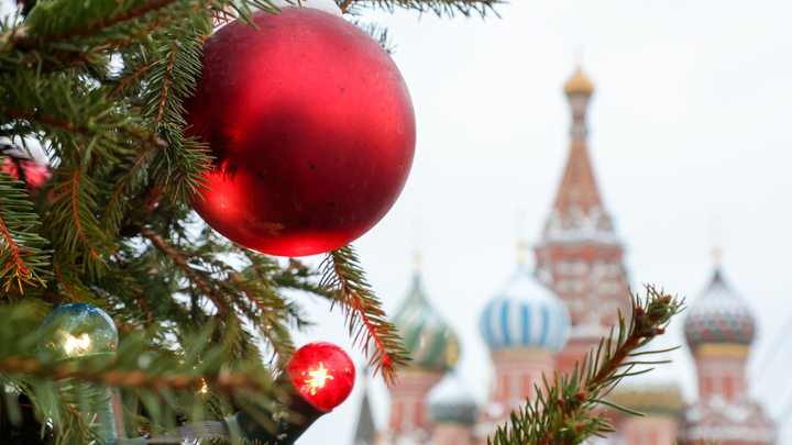 Главная новогодняя ель России стала второй по высоте в Европе