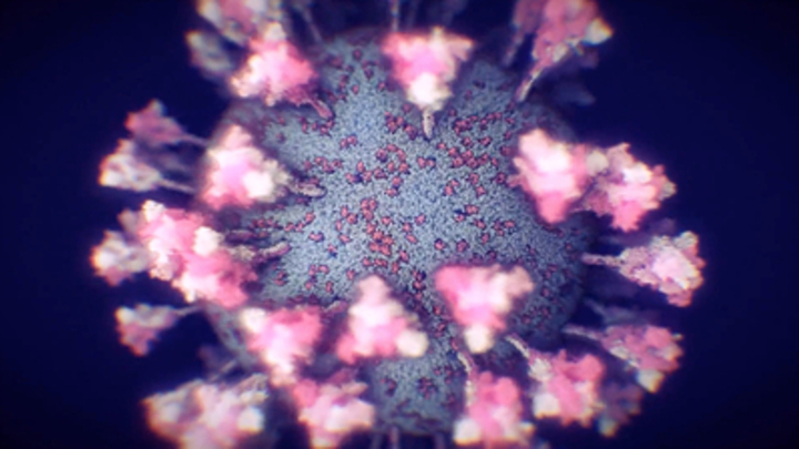 Опасны даже овощи и фрукты: Медики рассказали, как не пасть жертвой COVID в магазине