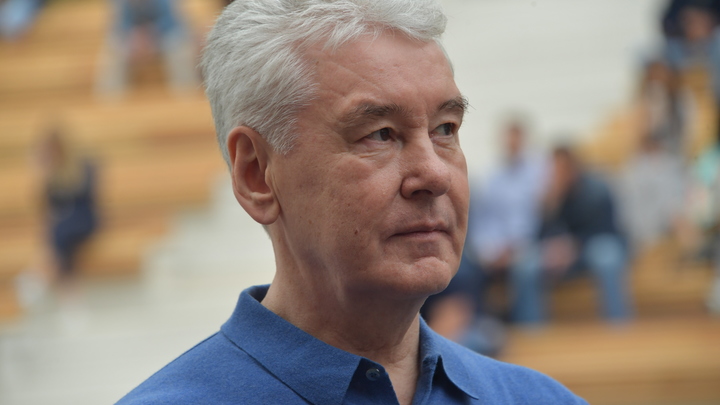 Что скрывать...: Собянин признался, что с мигрантами в пандемию возникла проблема