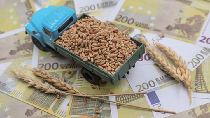 Глазьев раскрыл закулисье зерновой сделки: Россия себя недооценивает