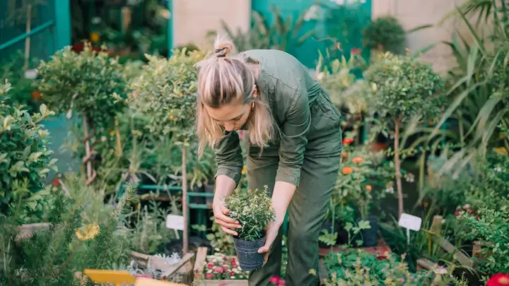 Дачи под контролем: Госдума приняла закон об особенностях застройки