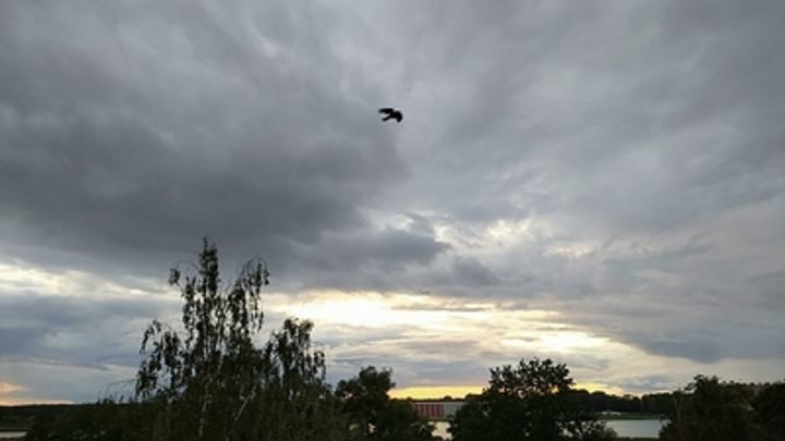 Резкое похолодание прийдёт на Кубань на этой неделе