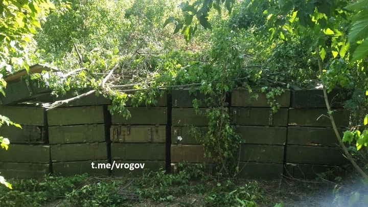 В лесополосе в Запорожской области обнаружен огромный схрон украинской армии