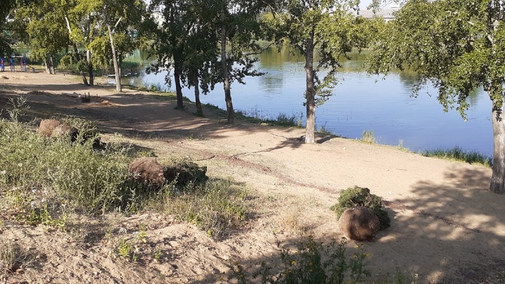 Мигрантов задержали за драку на озере в Нижнем Новгороде