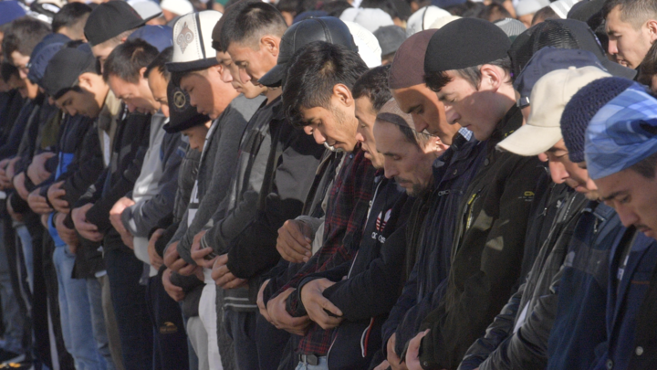 Мы не хатим на вайну: Облава на мигрантов в Подмосковье. Склад зачистили от нелегалов - источник