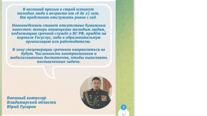 Кто накосячил: во Владимирской области распространили неверную информацию об электронных повестках