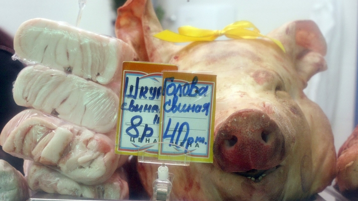 Политолог Константин Сивков обнаружил у себя под дверью свиную голову