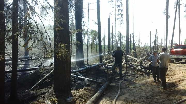 Два лесных пожара произошли в выходные в Орехово-Зуевском лесничестве