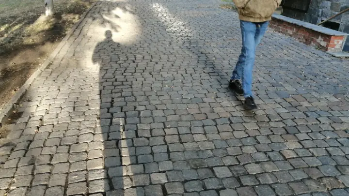 Загадочная смерть: мужчина обнаружил останки женщины на набережной в Германии