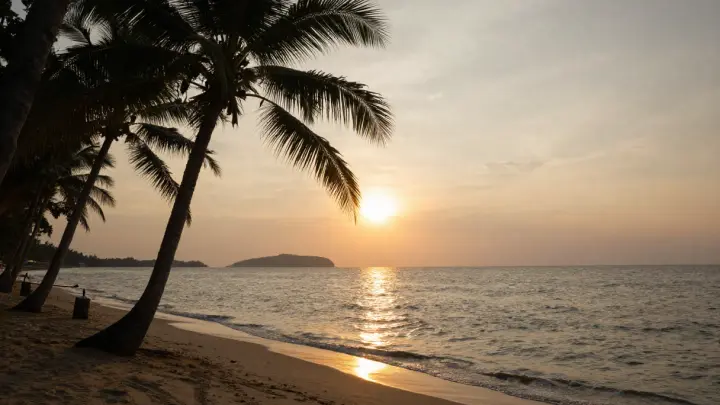 Безос за $339 млн купил участки в бункере миллиардеров во Флориде