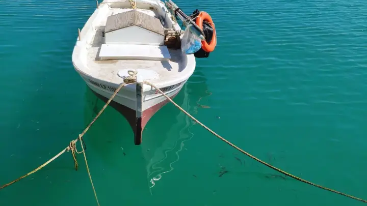 Массовая гибель мигрантов в водах Греции: некоторых не нашли