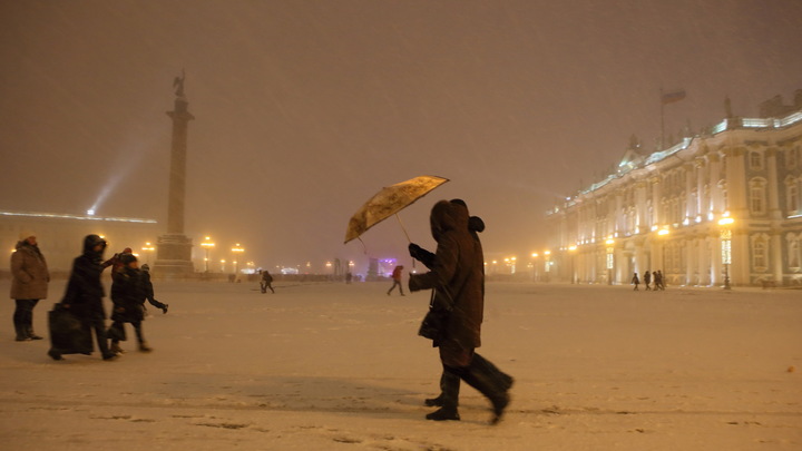 Снежных помощников не нашлось. Петербуржцы отказались делать работу коммунальщиков