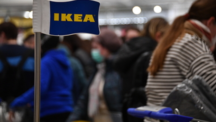 Житель Новосибирска продает плюшевую акулу из IKEA за 9 миллионов рублей
