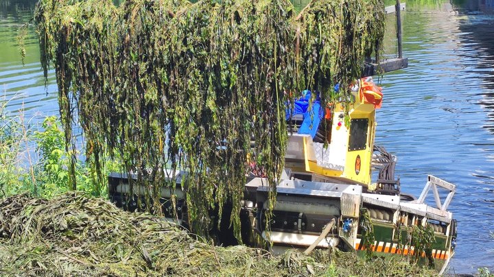 В Челябинске в реке Миасс нашли крупногабаритный мусор
