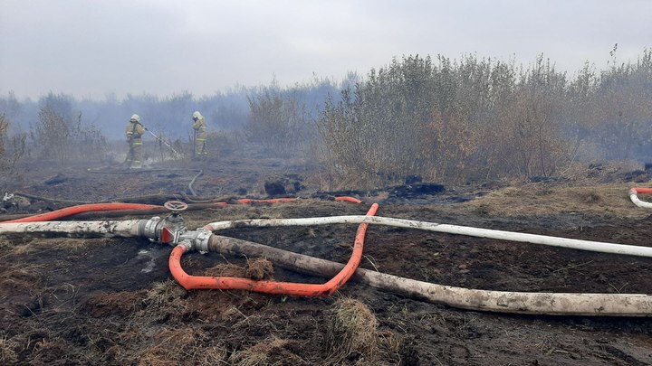 Под Екатеринбургом на 2 гектара сократили площадь горящего торфяника