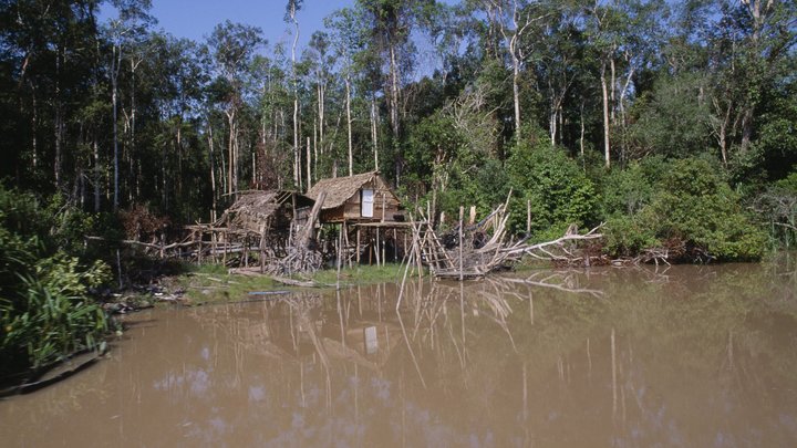 Могут жить даже под водой: Удивительное племя морских цыган озадачило учёных