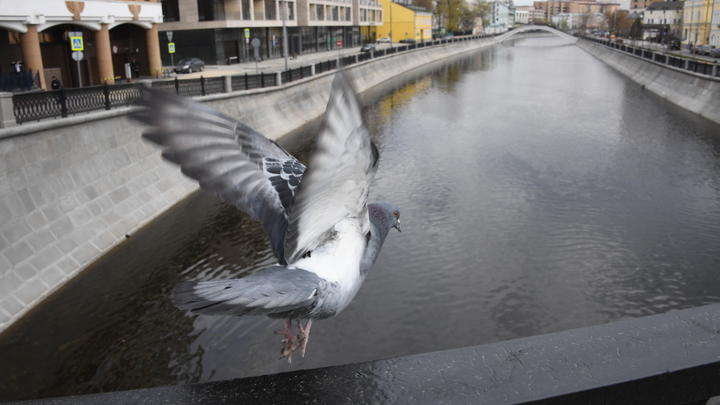 Для вашего вразумления: Старец Иоанн предупреждал о коронавирусе?