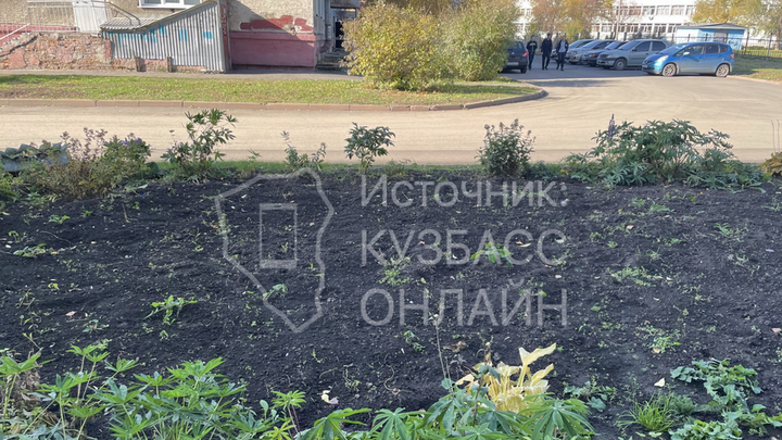 Картофельное поле под окном многоэтажки раздражает жительницу Кемерова
