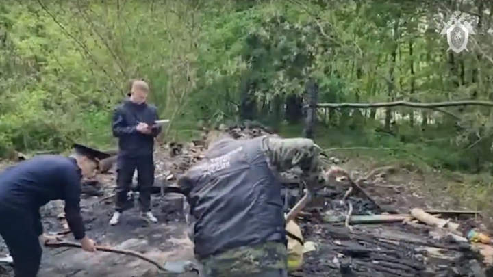 В Подмосковье 11-летний мальчик заживо сгорел в сарае после ссоры с друзьями