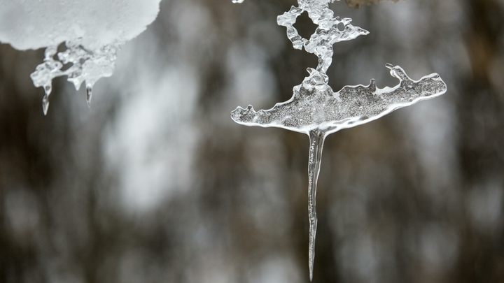 Синоптик заявил о погодном рекорде в Москве