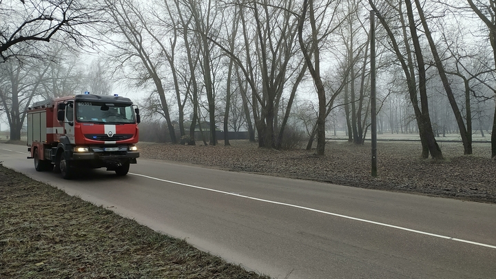 В Дмитрове локализован крупный пожар в креветочном цехе