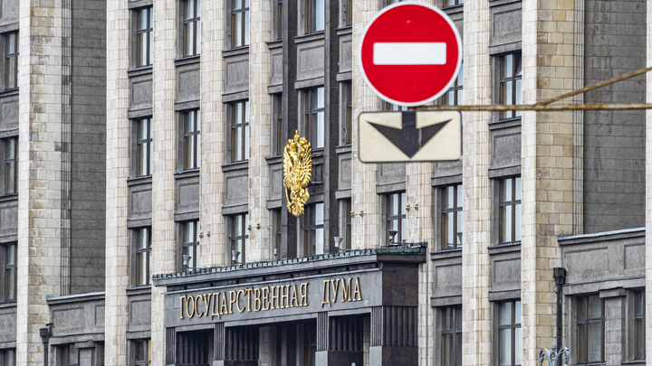 Просто плевок: Депутат Толстой одёрнул авторов идеи о маткапитале для суррогатных отцов