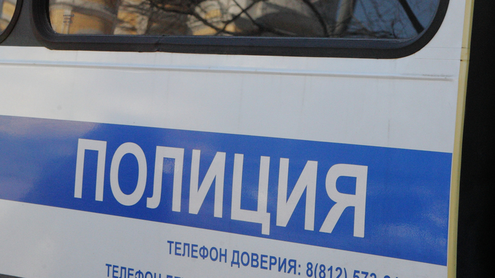 Жительница Владимира взяла штурмом квартиру соседки, выбив дверь ногой