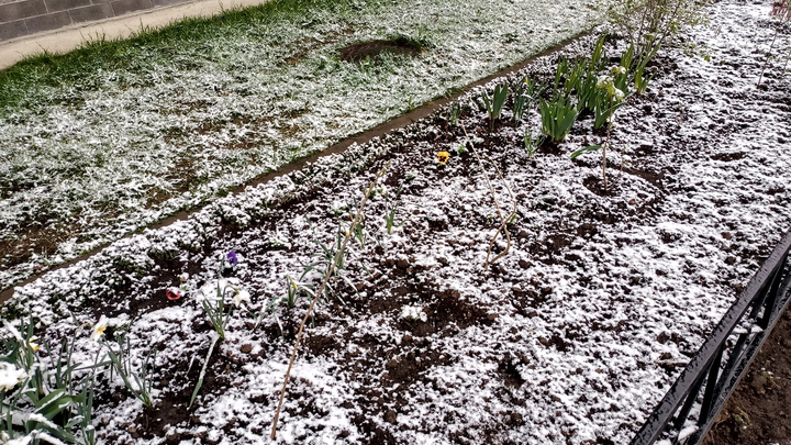 Первый снег выпал в нескольких районах Краснодарского края