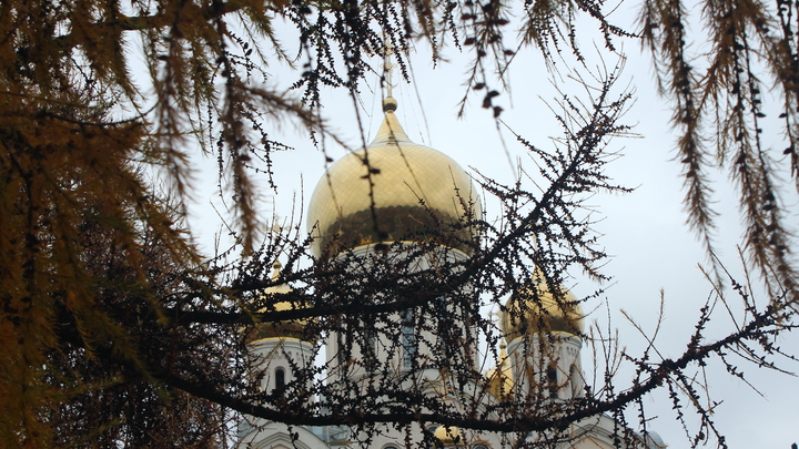 Историк установил места пребывания архиепископа Луки в Новосибирске