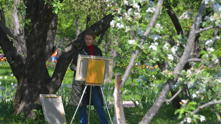 Во Владимирской области пройдёт Международный пленэр юных художников