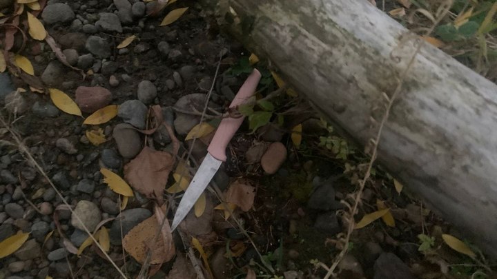 На коллегу стилиста Александра Рогова напали с ножом в Красноярске