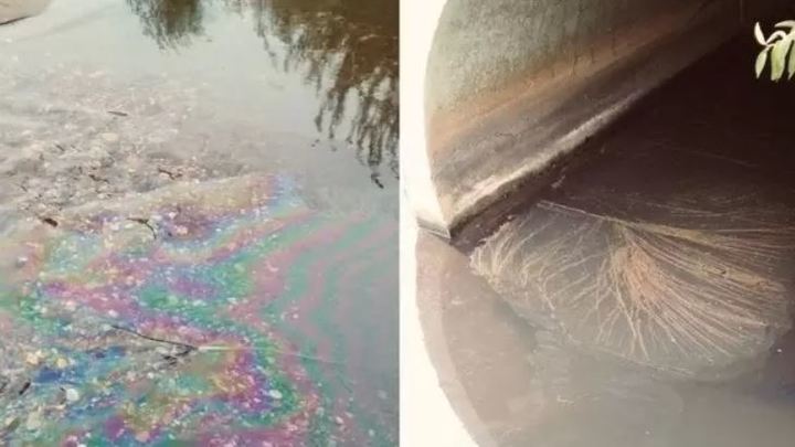 Вонь стоит ужасная: в Челябинске в Первое озеро сливают зловонное масло