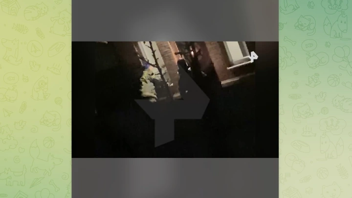 Появилось видео штурма рехаба в Подмосковье, где пытали подростков
