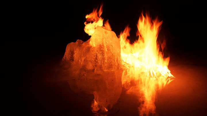 Мирная акция против ковидных ограничений переросла в побоище: Роттердам в огне, видео с улиц