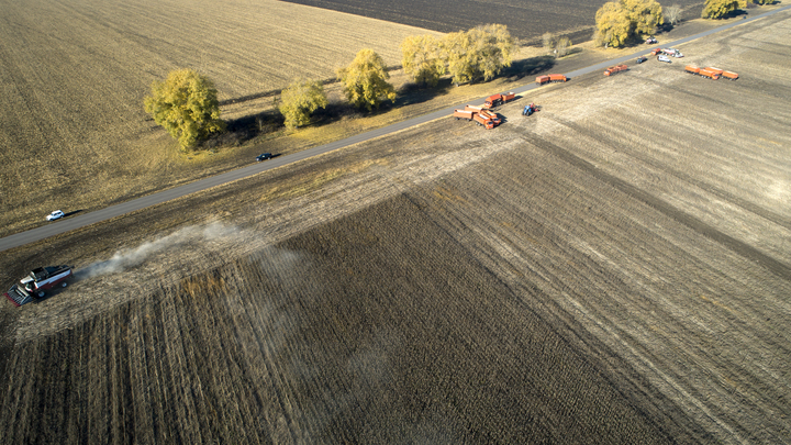 Миру грозит голод из-за нездоровых решений