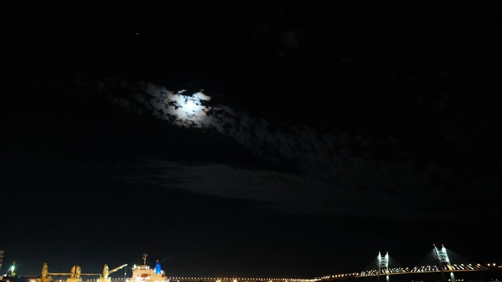 За день в Санкт-Петербурге выловили из воды сразу два трупа в спортивной одежде