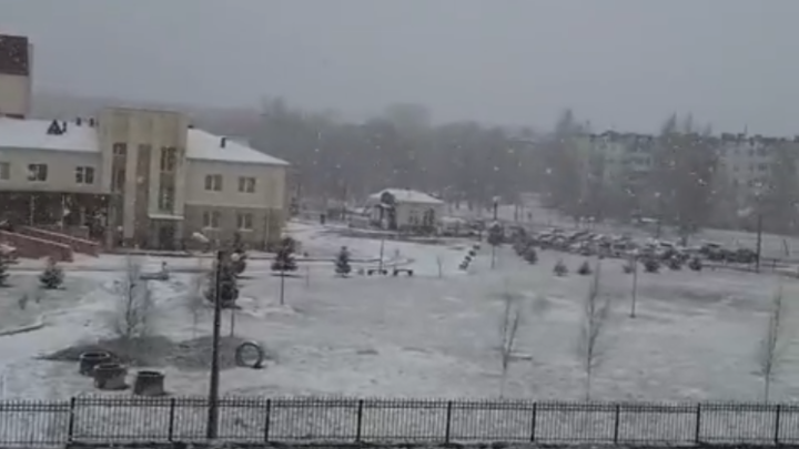 «Апрель забыл, что он не зима»: Ленобласть засыпало снегом