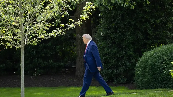 Как тебе такое, Дональд Трамп?: Еврокомиссия возмутилась американскими порносайтами