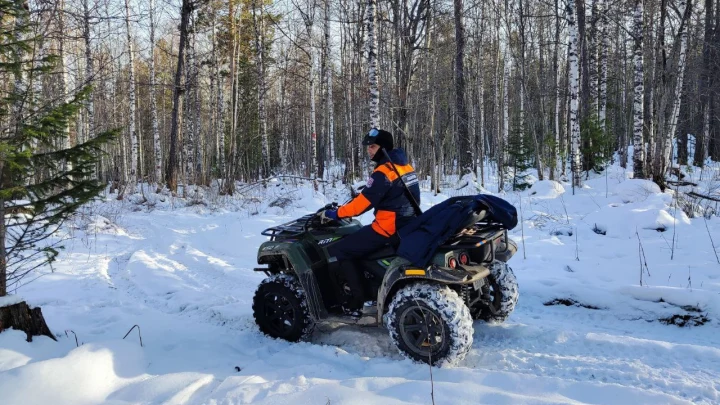 Поиски семьи Усольцевых в красноярской тайге возобновились