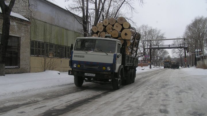 В Гусь-Хрустальном будут судить коммерсанта, нанёсшего ущерб лесничеству на почти полмиллиона рублей
