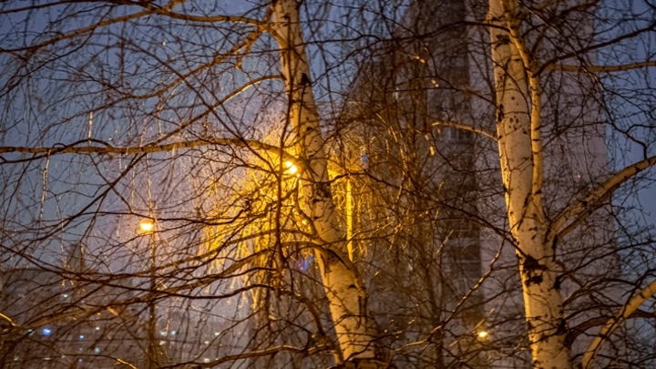 До нуля градусов потеплеет в Кузбассе на выходных